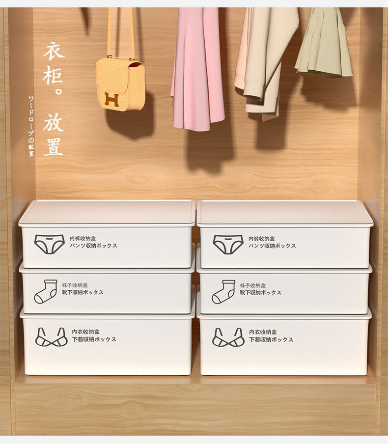 Household Intimates and Socks Storage Box Plastic Cosmetics Organizer Storage Intimates Bra Intimates Compartment Storage Box